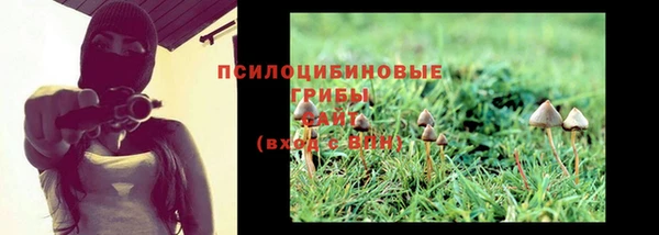 гидра Кулебаки