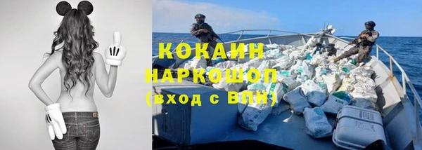 крисы Куйбышев