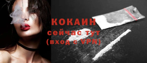 гидра Кулебаки