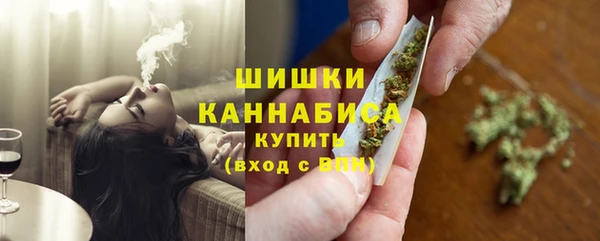 гидра Кулебаки