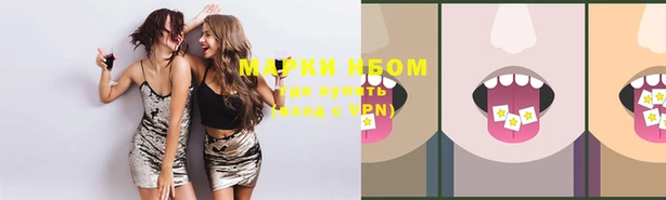 крисы Куйбышев