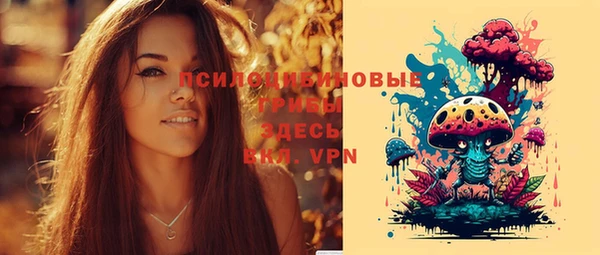 крисы Куйбышев
