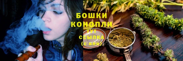 гидра Кулебаки
